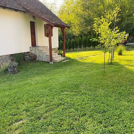 Villa Rudnicki Eko Breg à Rudnik Extérieur photo