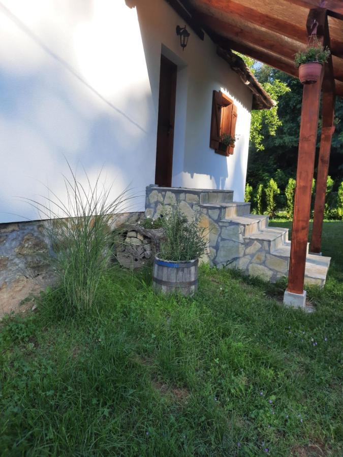 Villa Rudnicki Eko Breg à Rudnik Extérieur photo
