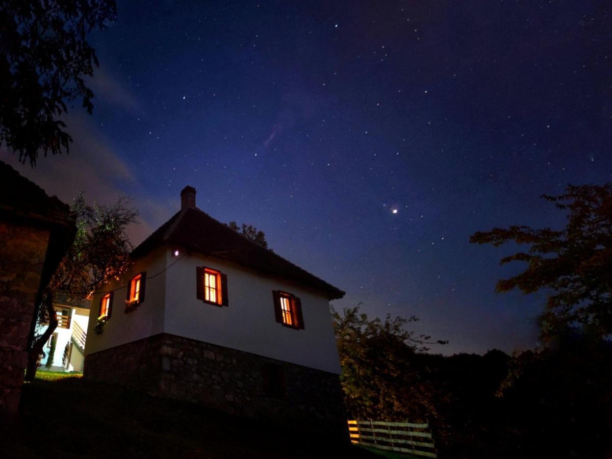 Villa Rudnicki Eko Breg à Rudnik Extérieur photo